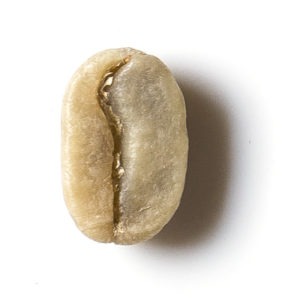 arabica1