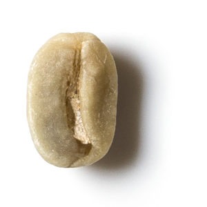 Etiopia Sidamo