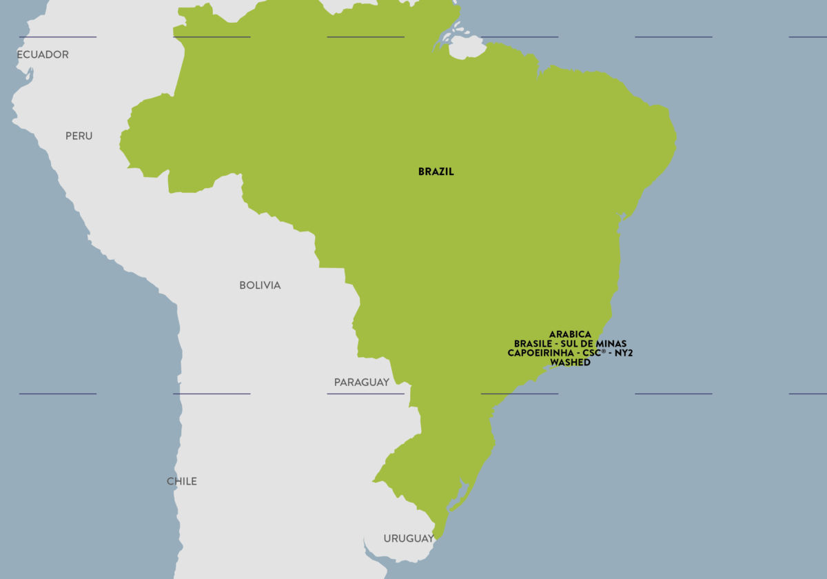 Brasile - Sul De Minas