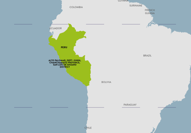Perù – Alto Palomar