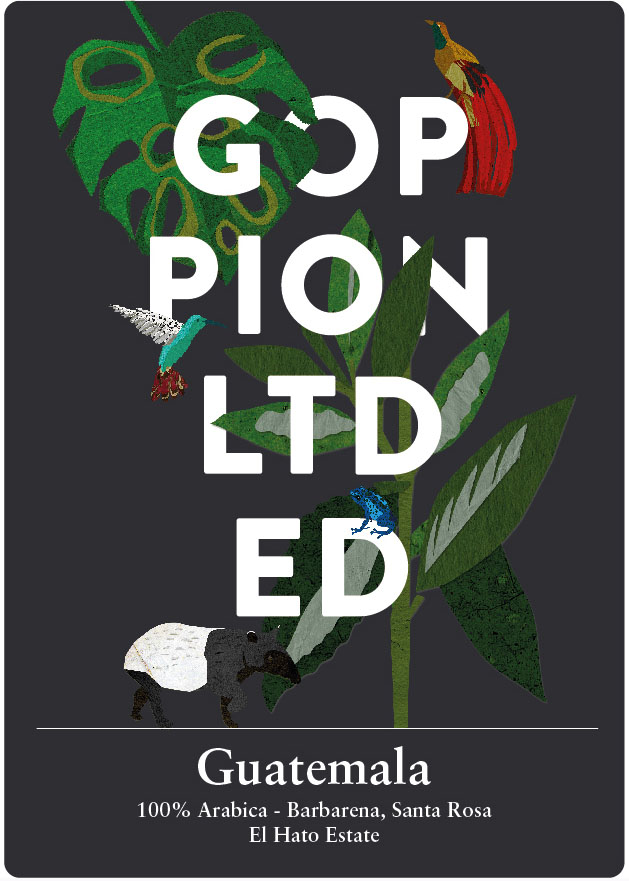 Guatemala - GOPPION LTD ED Singole Origini